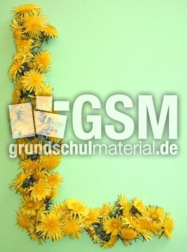 L-wie-Löwenzahn.jpg